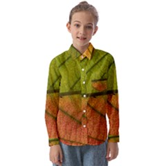 Leaf Autumn Fall Season Macro Kids  Long Sleeve Shirt by Wegoenart