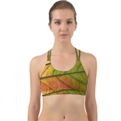 Leaf Autumn Fall Season Macro Back Web Sports Bra by Wegoenart