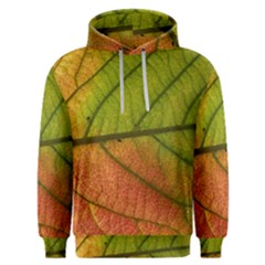 Leaf Autumn Fall Season Macro Men s Overhead Hoodie by Wegoenart