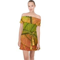 Leaf Autumn Fall Season Macro Off Shoulder Chiffon Dress by Wegoenart