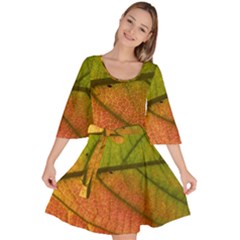 Leaf Autumn Fall Season Macro Velour Kimono Dress by Wegoenart