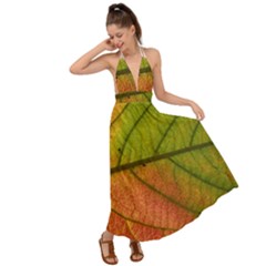 Leaf Autumn Fall Season Macro Backless Maxi Beach Dress by Wegoenart