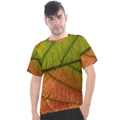 Leaf Autumn Fall Season Macro Men s Sport Top by Wegoenart