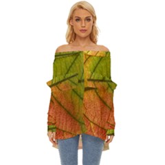 Leaf Autumn Fall Season Macro Off Shoulder Chiffon Pocket Shirt by Wegoenart