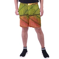 Leaf Autumn Fall Season Macro Men s Pocket Shorts