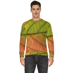 Leaf Autumn Fall Season Macro Men s Fleece Sweatshirt by Wegoenart