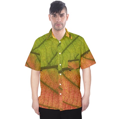 Leaf Autumn Fall Season Macro Men s Hawaii Shirt by Wegoenart