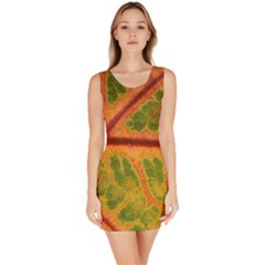 Leaf Veins Texture Autumn Fall Bodycon Dress by Wegoenart