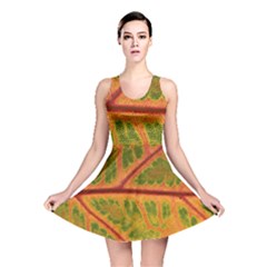 Leaf Veins Texture Autumn Fall Reversible Skater Dress by Wegoenart