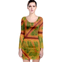 Leaf Veins Texture Autumn Fall Long Sleeve Bodycon Dress by Wegoenart