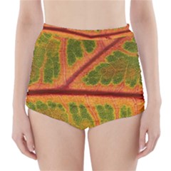 Leaf Veins Texture Autumn Fall High-waisted Bikini Bottoms by Wegoenart