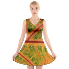 Leaf Veins Texture Autumn Fall V-neck Sleeveless Dress by Wegoenart