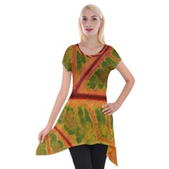 Leaf Veins Texture Autumn Fall Short Sleeve Side Drop Tunic by Wegoenart