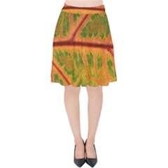 Leaf Veins Texture Autumn Fall Velvet High Waist Skirt by Wegoenart