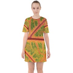 Leaf Veins Texture Autumn Fall Sixties Short Sleeve Mini Dress by Wegoenart