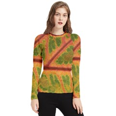 Leaf Veins Texture Autumn Fall Women s Long Sleeve Rash Guard by Wegoenart