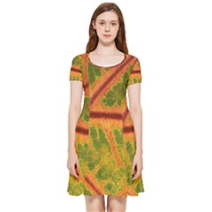 Leaf Veins Texture Autumn Fall Inside Out Cap Sleeve Dress by Wegoenart