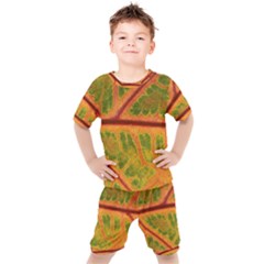 Leaf Veins Texture Autumn Fall Kids  Tee And Shorts Set by Wegoenart