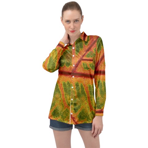 Leaf Veins Texture Autumn Fall Long Sleeve Satin Shirt by Wegoenart