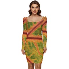 Leaf Veins Texture Autumn Fall Women Long Sleeve Ruched Stretch Jersey Dress by Wegoenart