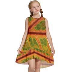 Leaf Veins Texture Autumn Fall Kids  Frill Swing Dress by Wegoenart