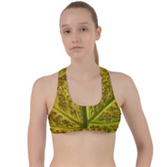 Leaf Structure Texture Background Criss Cross Racerback Sports Bra by Wegoenart