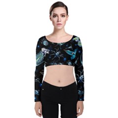 Colorful Abstract Pattern Consisting Glowing Lights Luminescent Images Marine Plankton Dark Velvet Long Sleeve Crop Top by Ravend