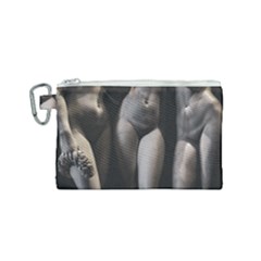 Three Graces Sculpture Detail Canvas Cosmetic Bag (small) by dflcprintsclothing