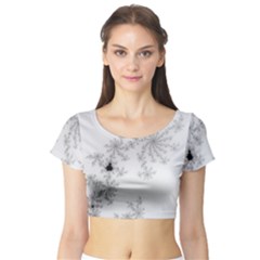 Mandelbrot Apple Males Mathematics Short Sleeve Crop Top