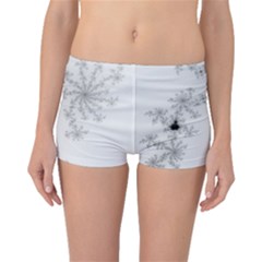 Mandelbrot Apple Males Mathematics Boyleg Bikini Bottoms by Jancukart