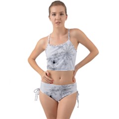 Mandelbrot Apple Males Mathematics Mini Tank Bikini Set