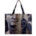 Men Taking Photos Of Greek Goddess Zipper Mini Tote Bag View1