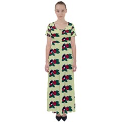 Guarana Fruit Clean High Waist Short Sleeve Maxi Dress by ConteMonfrey