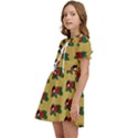 Guarana Fruit Brown Kids  Sweet Collar Dress View3