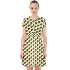 Guarana Fruit Small Adorable In Chiffon Dress by ConteMonfrey