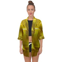 Hieroglyphic Egypt Egyptian Open Front Chiffon Kimono by Ravend