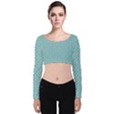 Diagonal Turquoise Plaids Velvet Long Sleeve Crop Top View1