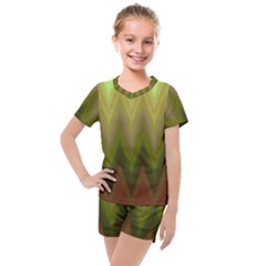 Zig Zag Chevron Classic Pattern Kids  Mesh Tee And Shorts Set