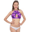 Triangular-shapes-background Cross Front Halter Bikini Top View1