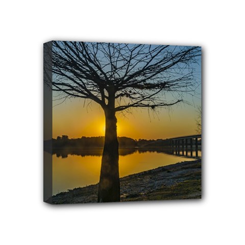 Grande Stream Landscape, Flores, Uruguay002 Mini Canvas 4  X 4  (stretched) by dflcprintsclothing