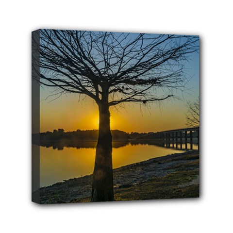 Grande Stream Landscape, Flores, Uruguay002 Mini Canvas 6  X 6  (stretched) by dflcprintsclothing