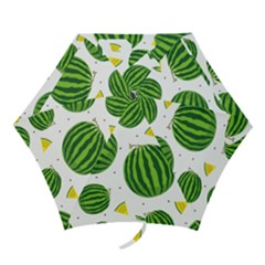 Watermelon Fruit Mini Folding Umbrellas by ConteMonfrey