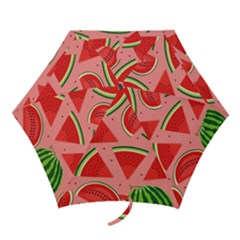 Red Watermelon  Mini Folding Umbrellas by ConteMonfrey