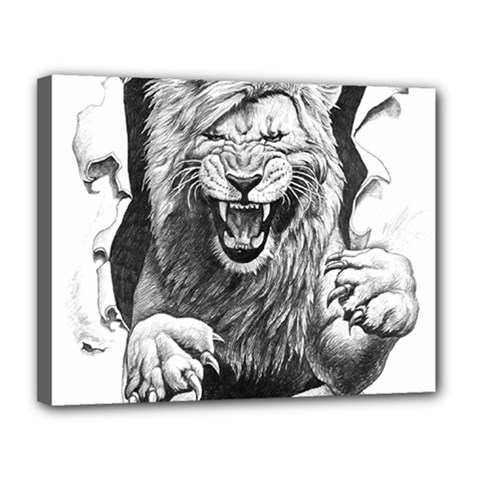 Drawing Angry Male Lion Roar Animal Canvas 14  X 11  (stretched) by danenraven