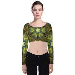 Fractal Fantasy Design Background Velvet Long Sleeve Crop Top by Wegoenart