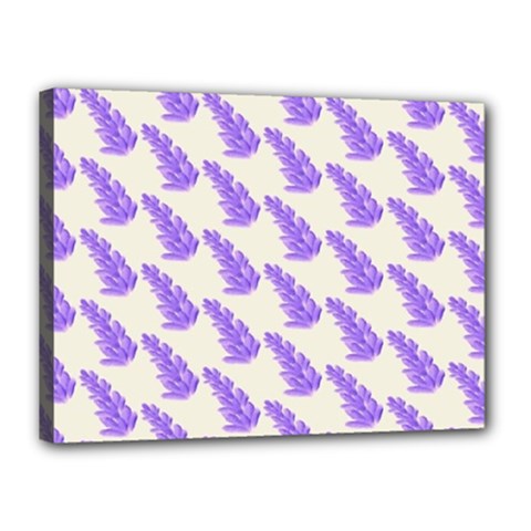 Cute Lavanda Canvas 16  X 12  (stretched) by ConteMonfrey