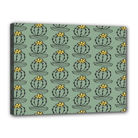 Cactus Green Canvas 16  X 12  (stretched) by ConteMonfrey