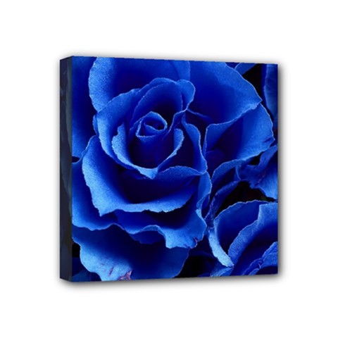 Blue Rose Flower Plant Romance Mini Canvas 4  X 4  (stretched)