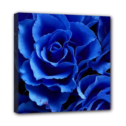 Blue Rose Flower Plant Romance Mini Canvas 8  X 8  (stretched) by Wegoenart