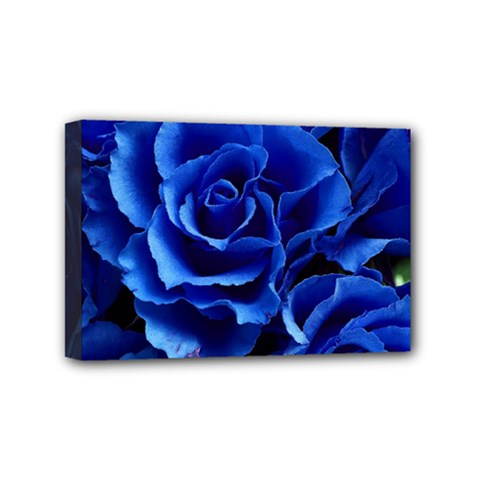 Blue Rose Flower Plant Romance Mini Canvas 6  X 4  (stretched) by Wegoenart